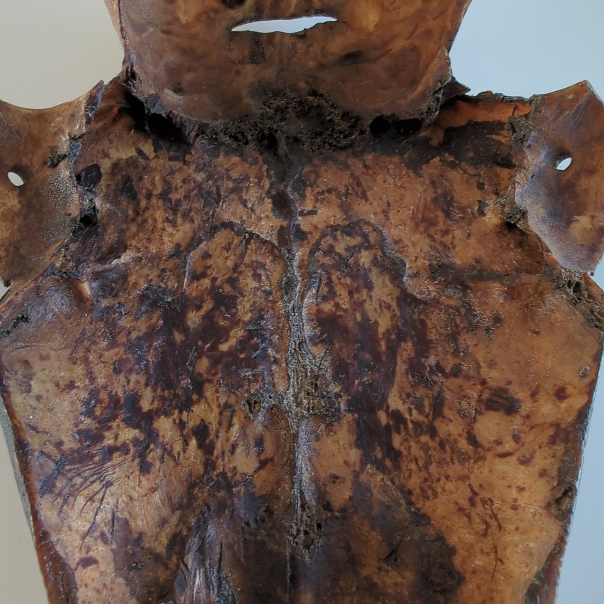 Close-up Torso: A close-up view of the central section of the amulet, focusing on the dark, aged texture of the wood.